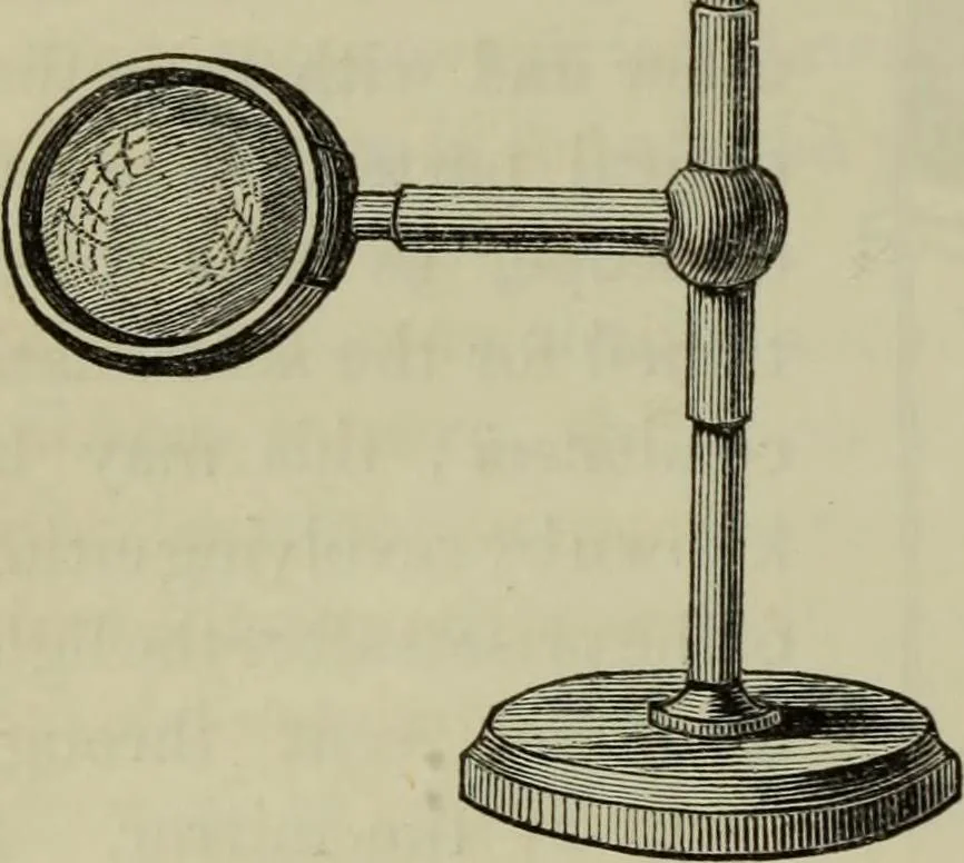 An illustration from A practical treatise on the use of the microscope, including the different methods of preparing and examining animal, vegetable, and mineral structures, 1848, leaf 147