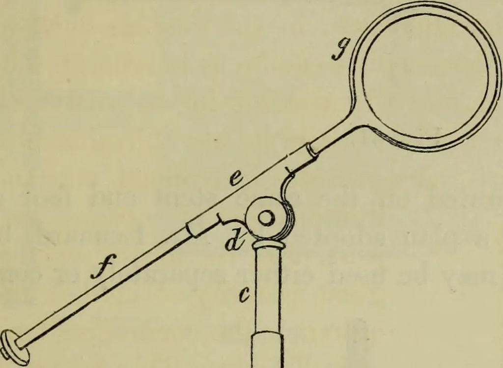An illustration from A practical treatise on the use of the microscope, including the different methods of preparing and examining animal, vegetable, and mineral structures, 1848, leaf 148
