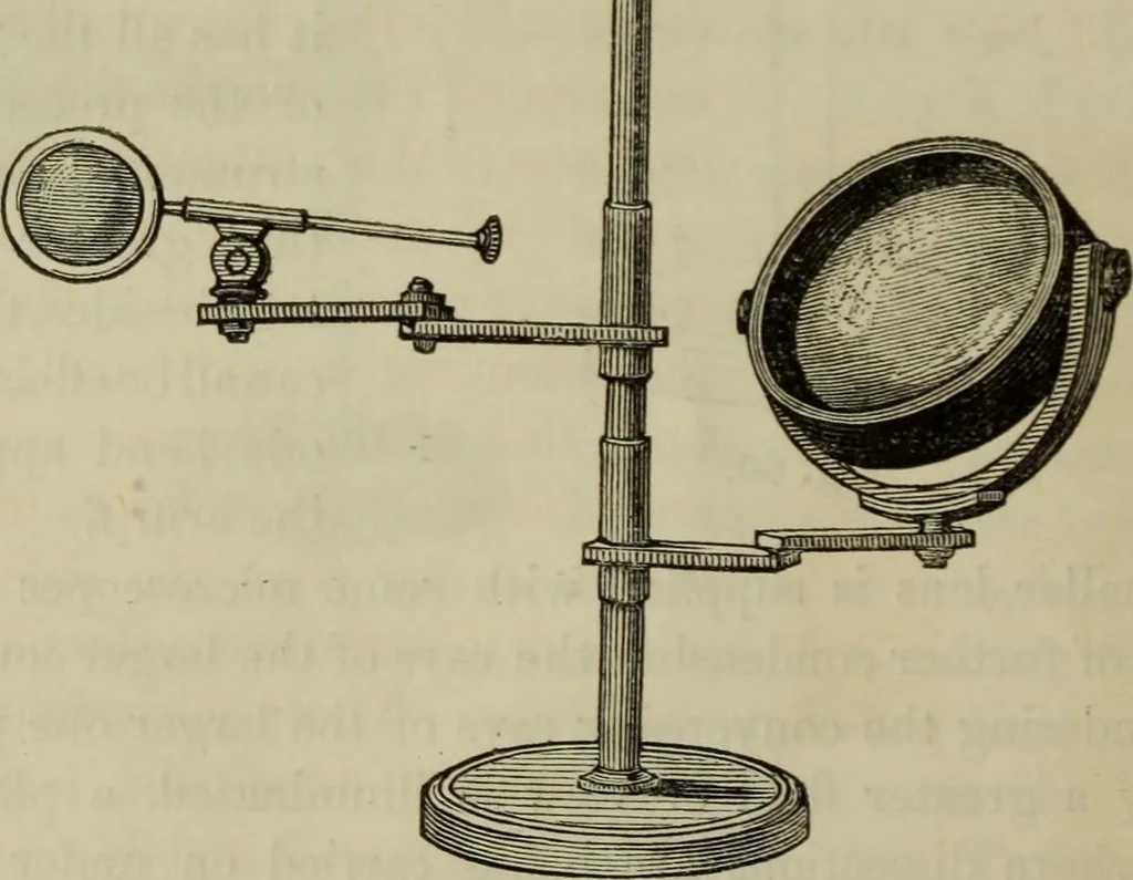 An illustration from A practical treatise on the use of the microscope, including the different methods of preparing and examining animal, vegetable, and mineral structures, 1848, leaf 149