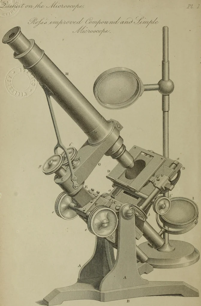 An illustration from A practical treatise on the use of the microscope, including the different methods of preparing and examining animal, vegetable, and mineral structures, 1848, leaf 15
