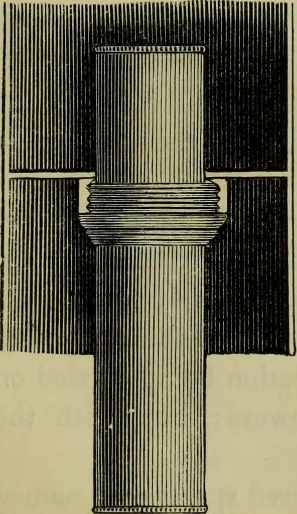 An illustration from A practical treatise on the use of the microscope, including the different methods of preparing and examining animal, vegetable, and mineral structures, 1848, leaf 150