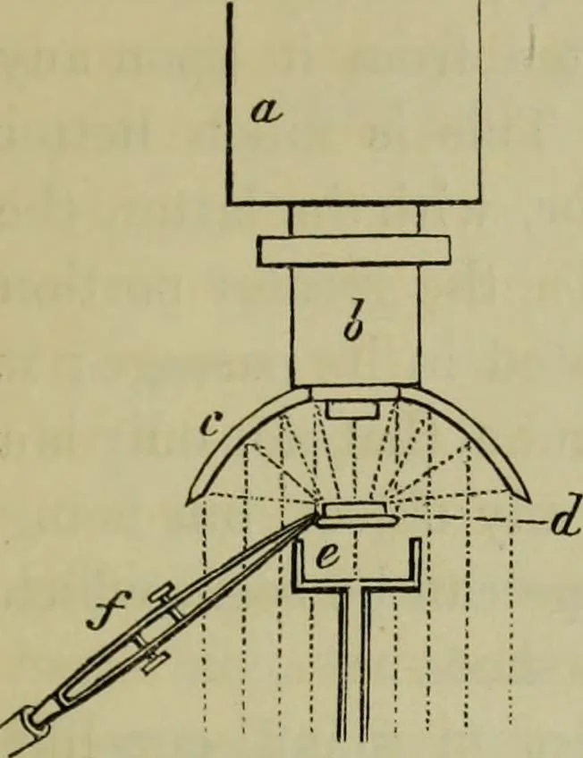 An illustration from A practical treatise on the use of the microscope, including the different methods of preparing and examining animal, vegetable, and mineral structures, 1848, leaf 152