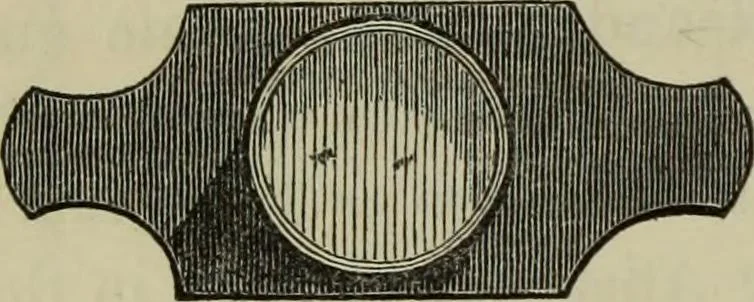An illustration from A practical treatise on the use of the microscope, including the different methods of preparing and examining animal, vegetable, and mineral structures, 1848, leaf 155