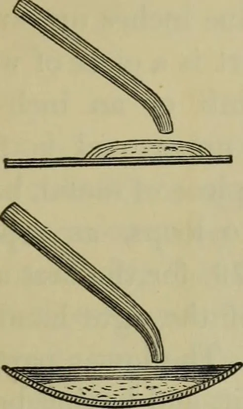 An illustration from A practical treatise on the use of the microscope, including the different methods of preparing and examining animal, vegetable, and mineral structures, 1848, leaf 160