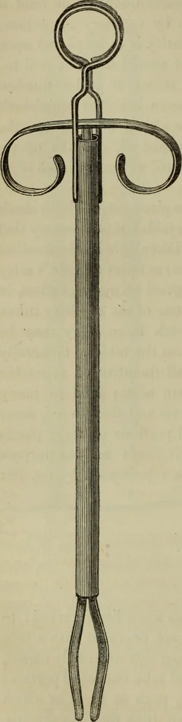 An illustration from A practical treatise on the use of the microscope, including the different methods of preparing and examining animal, vegetable, and mineral structures, 1848, leaf 161