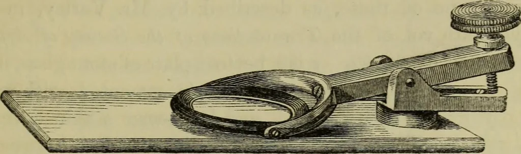 An illustration from A practical treatise on the use of the microscope, including the different methods of preparing and examining animal, vegetable, and mineral structures, 1848, leaf 164