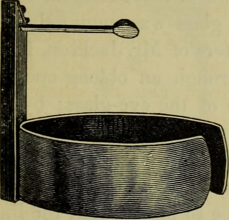 An illustration from A practical treatise on the use of the microscope, including the different methods of preparing and examining animal, vegetable, and mineral structures, 1848, leaf 170