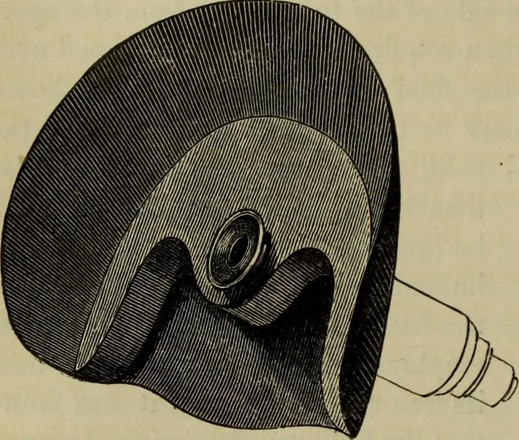 An illustration from A practical treatise on the use of the microscope, including the different methods of preparing and examining animal, vegetable, and mineral structures, 1848, leaf 173