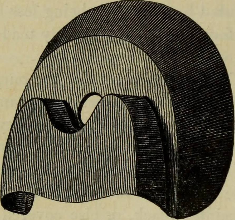 An illustration from A practical treatise on the use of the microscope, including the different methods of preparing and examining animal, vegetable, and mineral structures, 1848, leaf 173