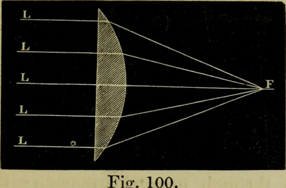 An illustration from A practical treatise on the use of the microscope, including the different methods of preparing and examining animal, vegetable, and mineral structures, 1848, leaf 184