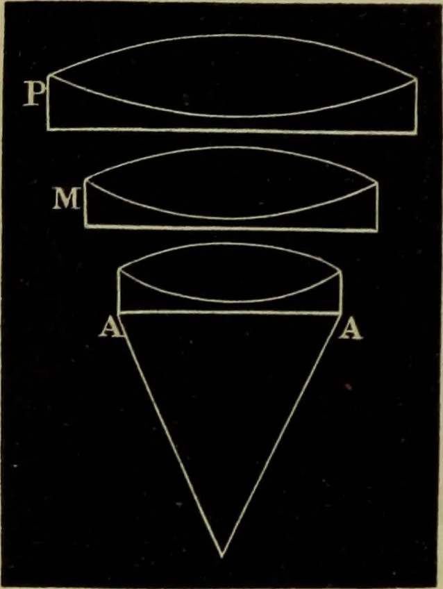 An illustration from A practical treatise on the use of the microscope, including the different methods of preparing and examining animal, vegetable, and mineral structures, 1848, leaf 191
