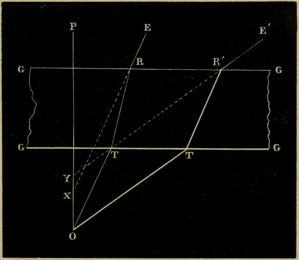 An illustration from A practical treatise on the use of the microscope, including the different methods of preparing and examining animal, vegetable, and mineral structures, 1848, leaf 198