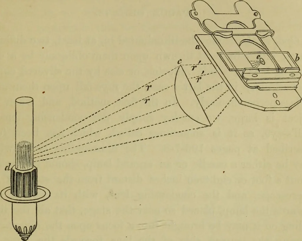 An illustration from A practical treatise on the use of the microscope, including the different methods of preparing and examining animal, vegetable, and mineral structures, 1848, leaf 220