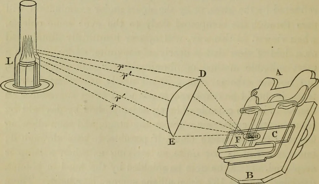 An illustration from A practical treatise on the use of the microscope, including the different methods of preparing and examining animal, vegetable, and mineral structures, 1848, leaf 221