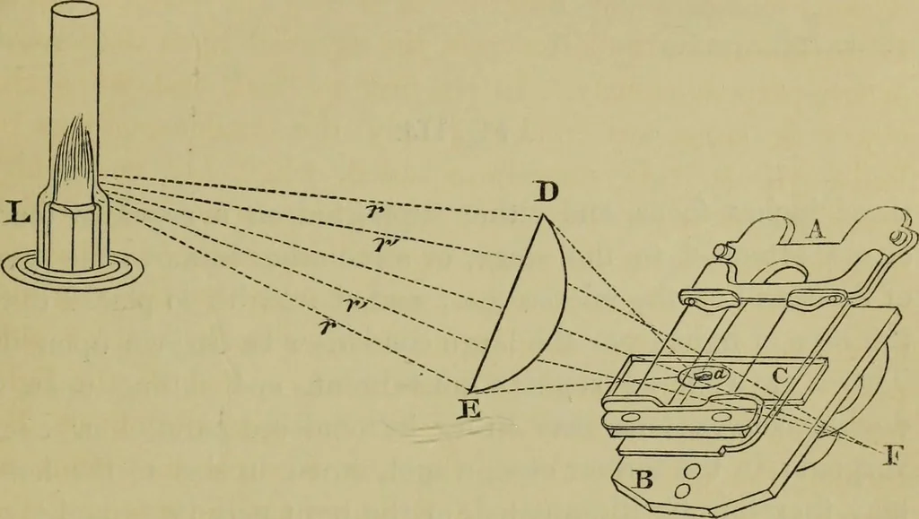 An illustration from A practical treatise on the use of the microscope, including the different methods of preparing and examining animal, vegetable, and mineral structures, 1848, leaf 222