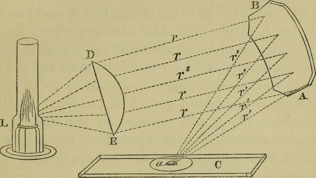 An illustration from A practical treatise on the use of the microscope, including the different methods of preparing and examining animal, vegetable, and mineral structures, 1848, leaf 224