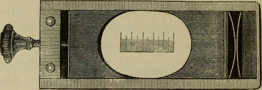 An illustration from A practical treatise on the use of the microscope, including the different methods of preparing and examining animal, vegetable, and mineral structures, 1848, leaf 235