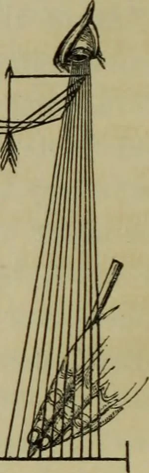 An illustration from A practical treatise on the use of the microscope, including the different methods of preparing and examining animal, vegetable, and mineral structures, 1848, leaf 245