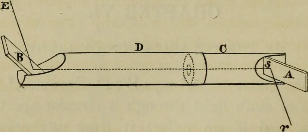 An illustration from A practical treatise on the use of the microscope, including the different methods of preparing and examining animal, vegetable, and mineral structures, 1848, leaf 257