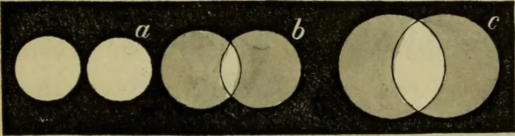 An illustration from A practical treatise on the use of the microscope, including the different methods of preparing and examining animal, vegetable, and mineral structures, 1848, leaf 262