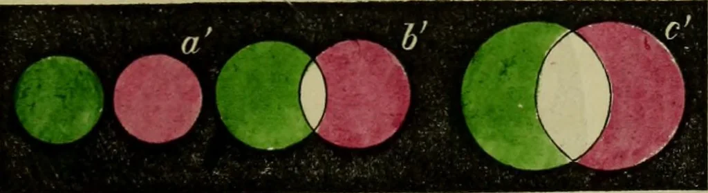 An illustration from A practical treatise on the use of the microscope, including the different methods of preparing and examining animal, vegetable, and mineral structures, 1848, leaf 262