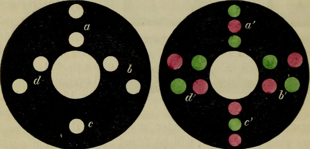 An illustration from A practical treatise on the use of the microscope, including the different methods of preparing and examining animal, vegetable, and mineral structures, 1848, leaf 263