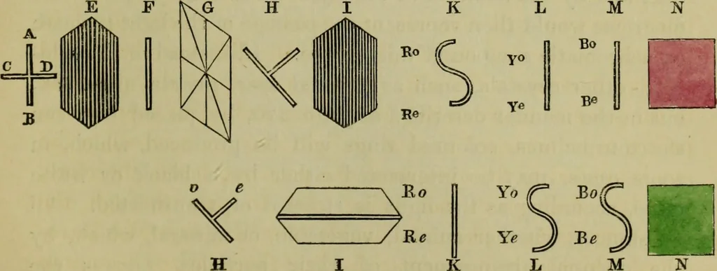 An illustration from A practical treatise on the use of the microscope, including the different methods of preparing and examining animal, vegetable, and mineral structures, 1848, leaf 268