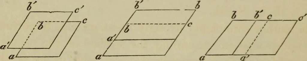 An illustration from A practical treatise on the use of the microscope, including the different methods of preparing and examining animal, vegetable, and mineral structures, 1848, leaf 275