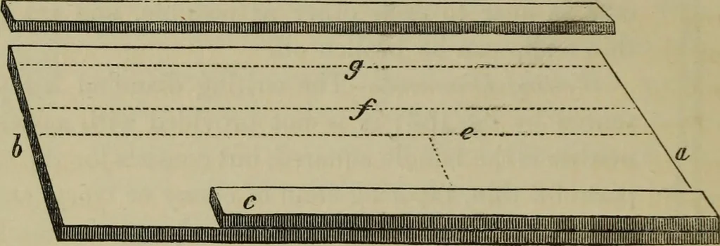 An illustration from A practical treatise on the use of the microscope, including the different methods of preparing and examining animal, vegetable, and mineral structures, 1848, leaf 283