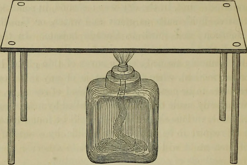 An illustration from A practical treatise on the use of the microscope, including the different methods of preparing and examining animal, vegetable, and mineral structures, 1848, leaf 289