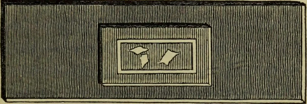 An illustration from A practical treatise on the use of the microscope, including the different methods of preparing and examining animal, vegetable, and mineral structures, 1848, leaf 294