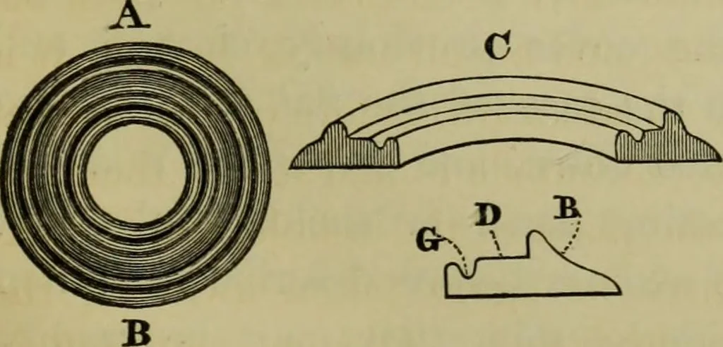 An illustration from A practical treatise on the use of the microscope, including the different methods of preparing and examining animal, vegetable, and mineral structures, 1848, leaf 294