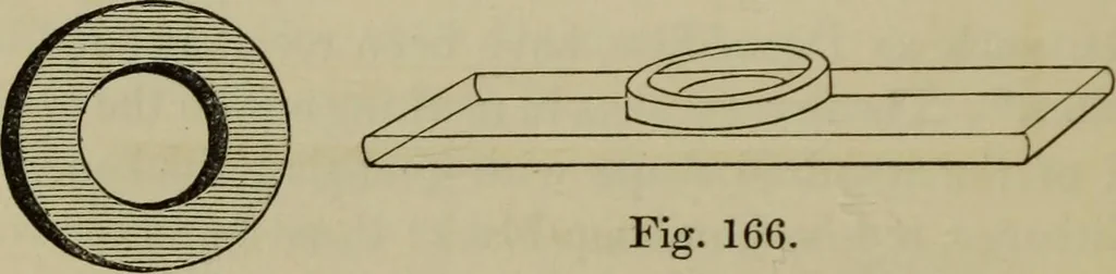 An illustration from A practical treatise on the use of the microscope, including the different methods of preparing and examining animal, vegetable, and mineral structures, 1848, leaf 299