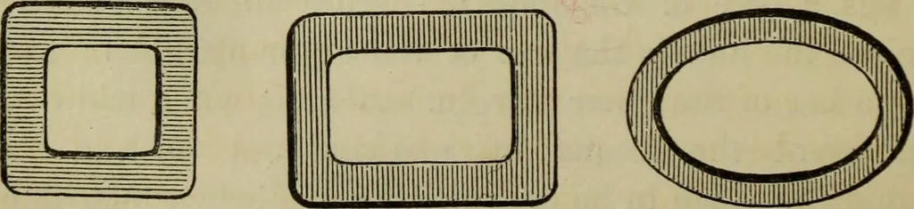 An illustration from A practical treatise on the use of the microscope, including the different methods of preparing and examining animal, vegetable, and mineral structures, 1848, leaf 299
