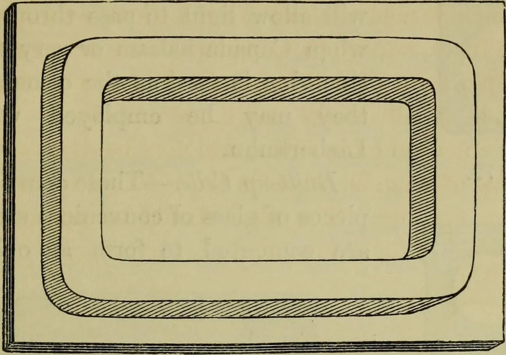 An illustration from A practical treatise on the use of the microscope, including the different methods of preparing and examining animal, vegetable, and mineral structures, 1848, leaf 300