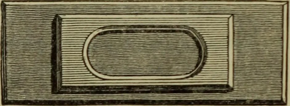 An illustration from A practical treatise on the use of the microscope, including the different methods of preparing and examining animal, vegetable, and mineral structures, 1848, leaf 301
