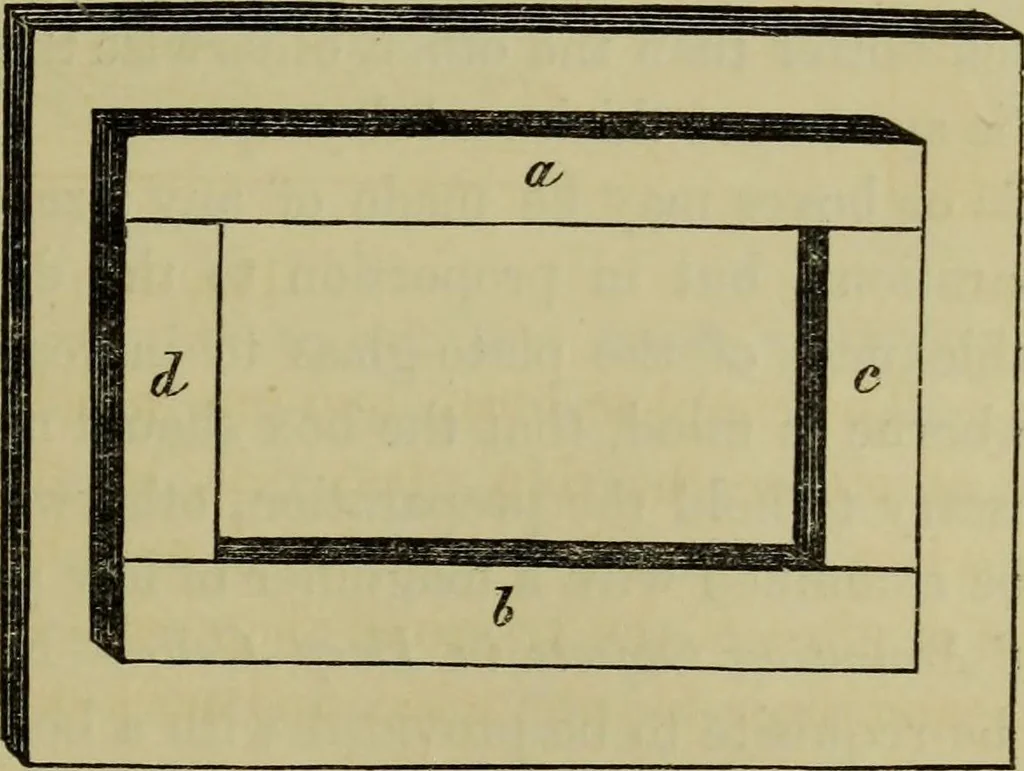 An illustration from A practical treatise on the use of the microscope, including the different methods of preparing and examining animal, vegetable, and mineral structures, 1848, leaf 302