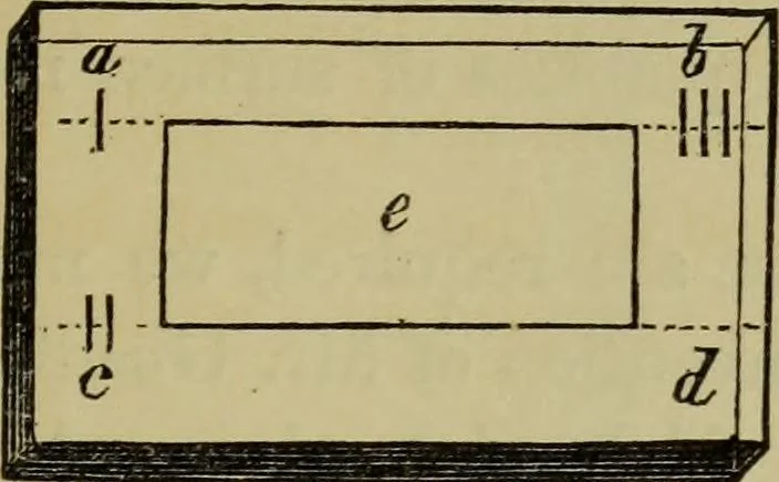 An illustration from A practical treatise on the use of the microscope, including the different methods of preparing and examining animal, vegetable, and mineral structures, 1848, leaf 302