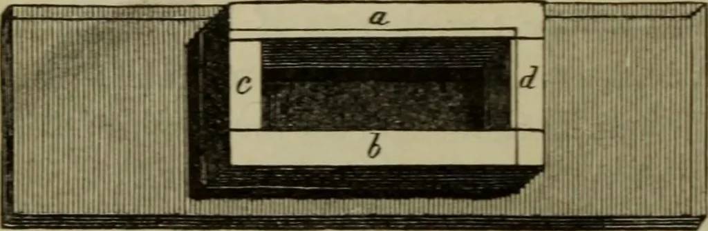 An illustration from A practical treatise on the use of the microscope, including the different methods of preparing and examining animal, vegetable, and mineral structures, 1848, leaf 303
