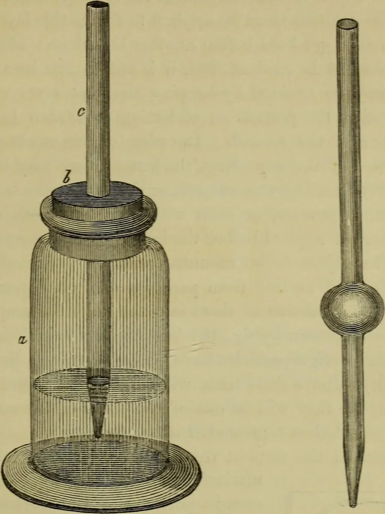 An illustration from A practical treatise on the use of the microscope, including the different methods of preparing and examining animal, vegetable, and mineral structures, 1848, leaf 304