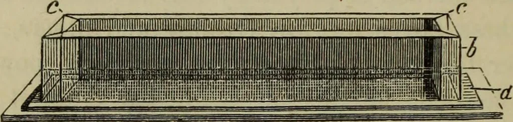 An illustration from A practical treatise on the use of the microscope, including the different methods of preparing and examining animal, vegetable, and mineral structures, 1848, leaf 307