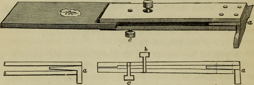 An illustration from A practical treatise on the use of the microscope, including the different methods of preparing and examining animal, vegetable, and mineral structures, 1848, leaf 317