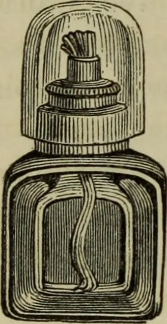 An illustration from A practical treatise on the use of the microscope, including the different methods of preparing and examining animal, vegetable, and mineral structures, 1848, leaf 319
