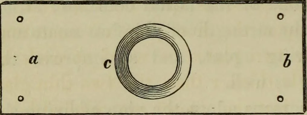 An illustration from A practical treatise on the use of the microscope, including the different methods of preparing and examining animal, vegetable, and mineral structures, 1848, leaf 327