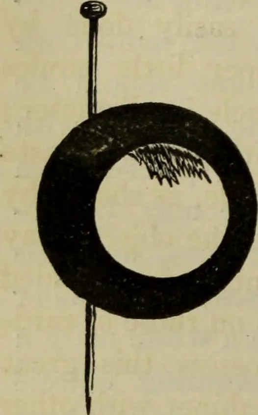 An illustration from A practical treatise on the use of the microscope, including the different methods of preparing and examining animal, vegetable, and mineral structures, 1848, leaf 333