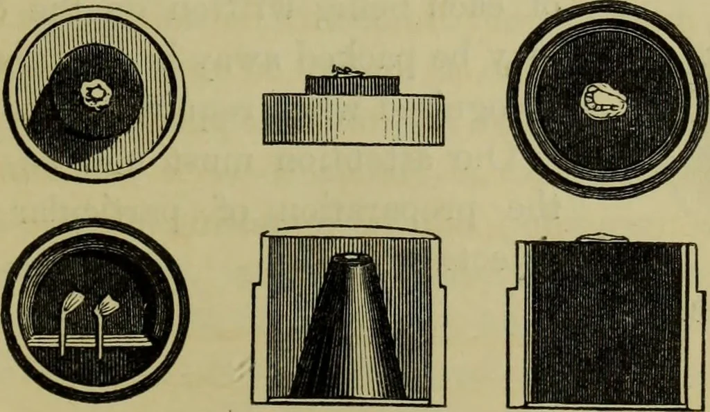 An illustration from A practical treatise on the use of the microscope, including the different methods of preparing and examining animal, vegetable, and mineral structures, 1848, leaf 336