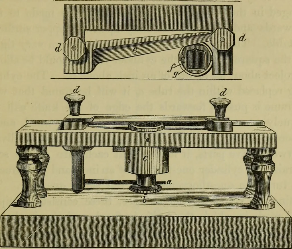 An illustration from A practical treatise on the use of the microscope, including the different methods of preparing and examining animal, vegetable, and mineral structures, 1848, leaf 348