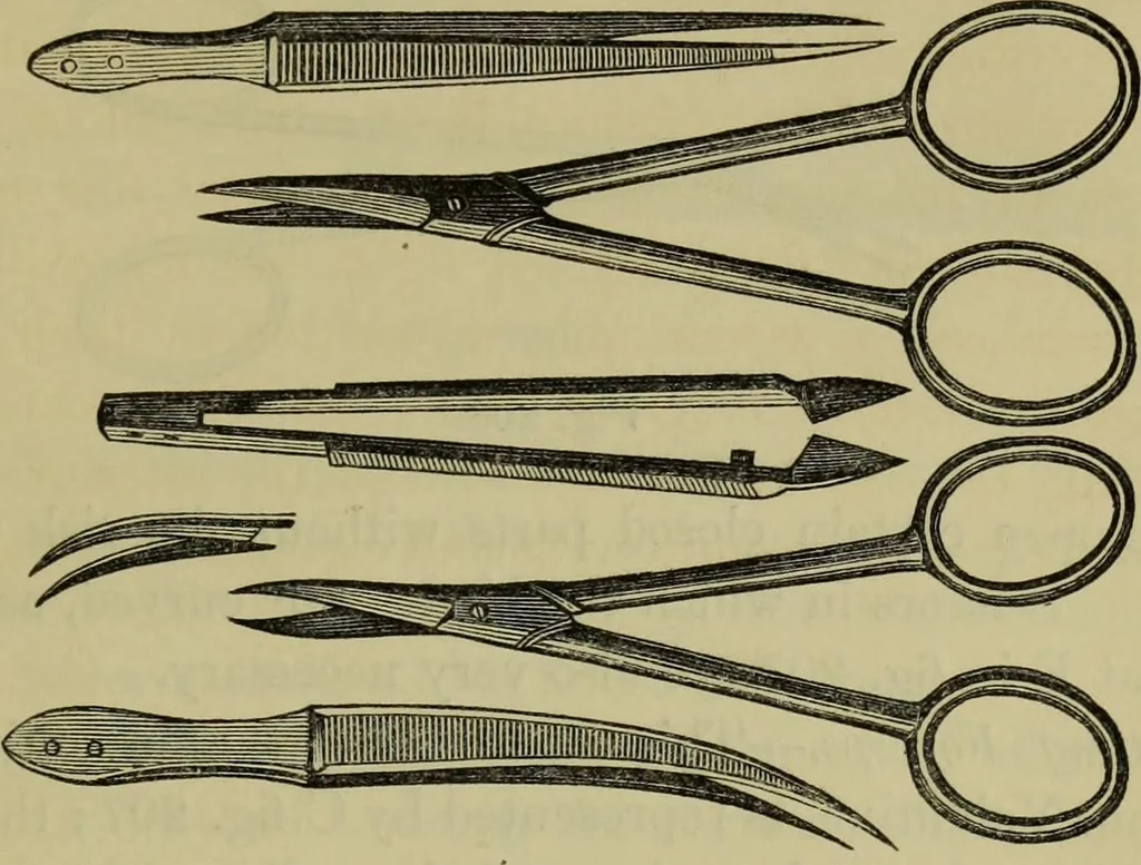 An illustration from A practical treatise on the use of the microscope, including the different methods of preparing and examining animal, vegetable, and mineral structures, 1848, leaf 356