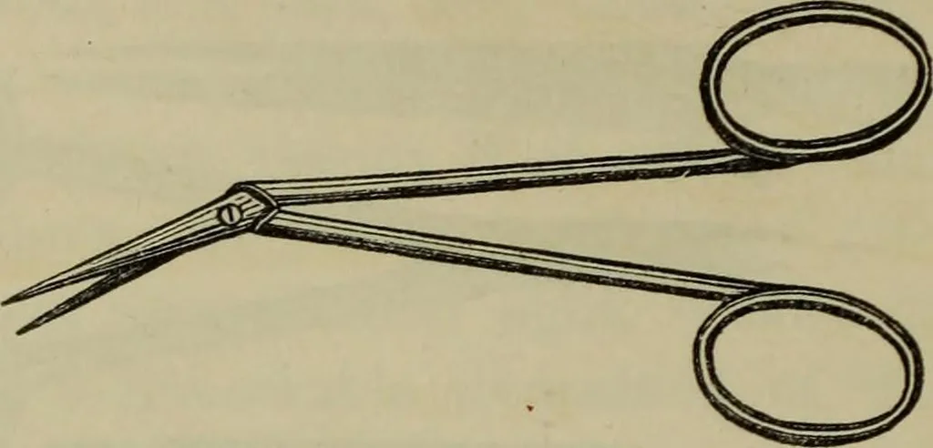 An illustration from A practical treatise on the use of the microscope, including the different methods of preparing and examining animal, vegetable, and mineral structures, 1848, leaf 357