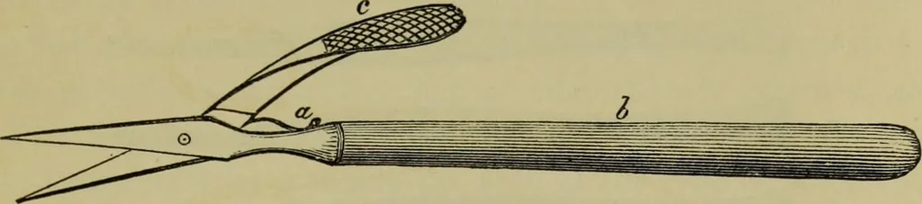 An illustration from A practical treatise on the use of the microscope, including the different methods of preparing and examining animal, vegetable, and mineral structures, 1848, leaf 358